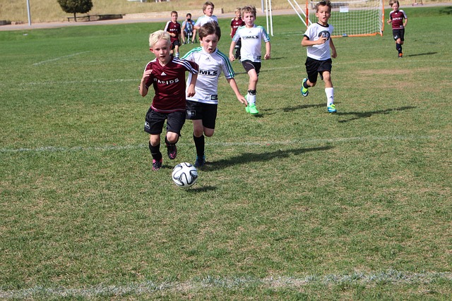 和归属感 和归属感