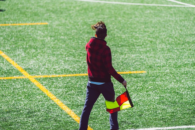 不仅提供了 不仅提供了