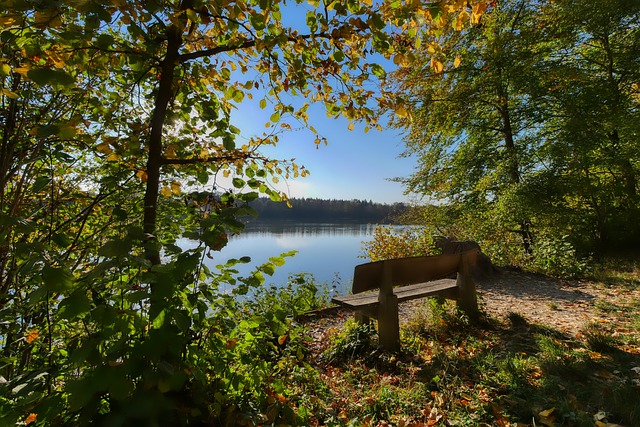 他们在德甲 他们在德甲