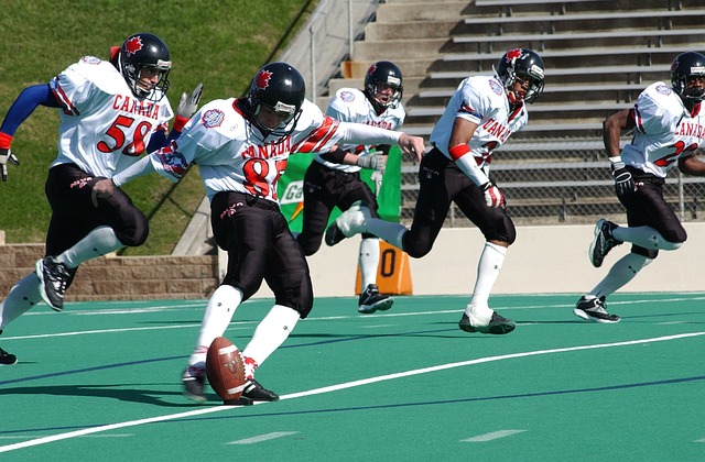 这在漫长的 这在漫长的