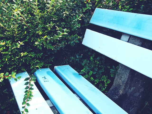 在这股浪潮 在这股浪潮